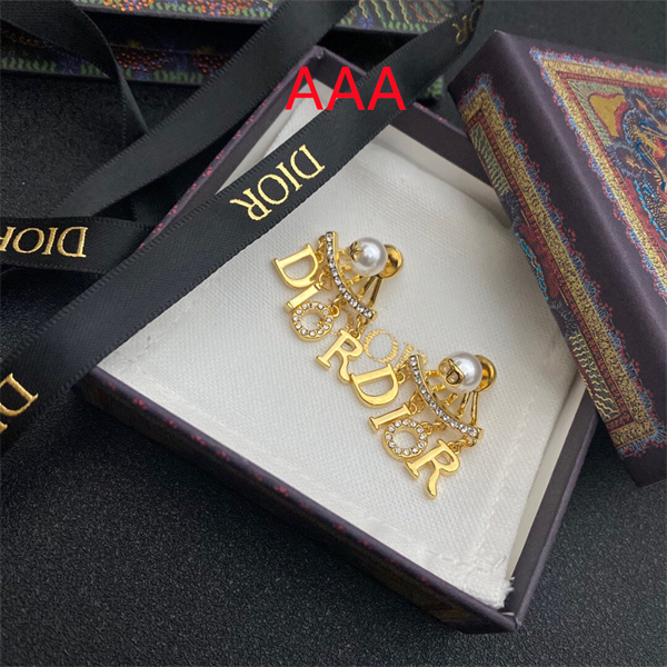 Dior Earrings-294