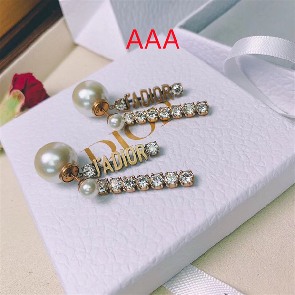 Dior Earrings-030