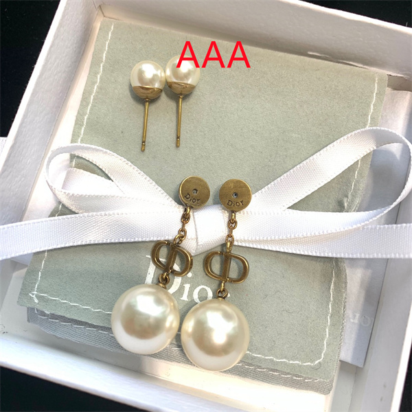 Dior Earrings-300
