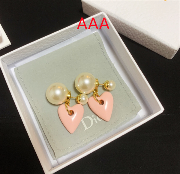 Dior Earrings-301