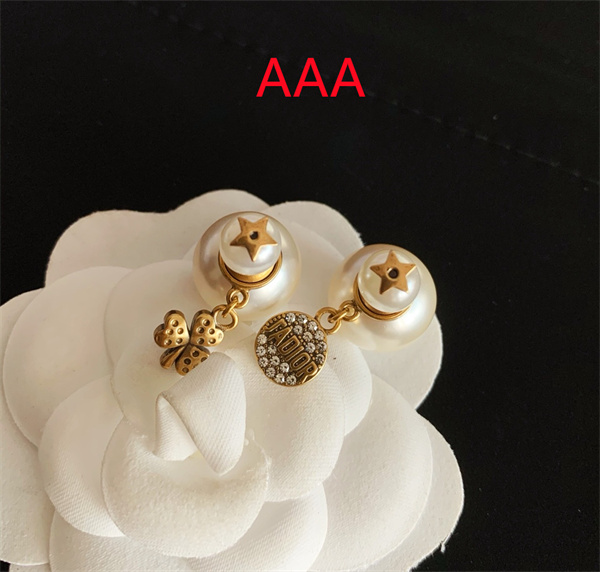 Dior Earrings-302