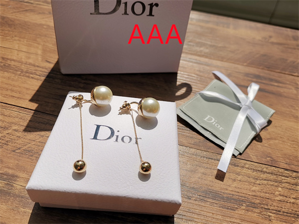 Dior Earrings-031