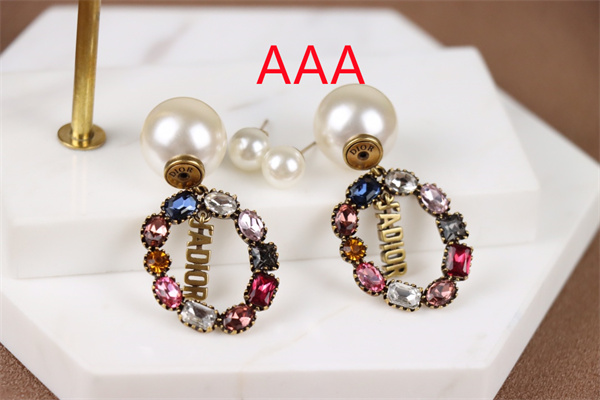 Dior Earrings-311