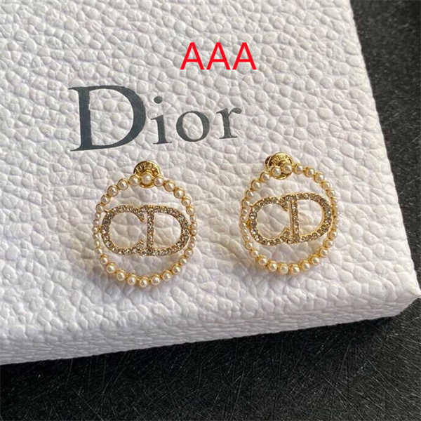 Dior Earrings-316
