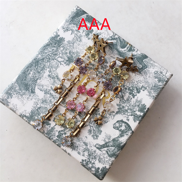 Dior Earrings-033