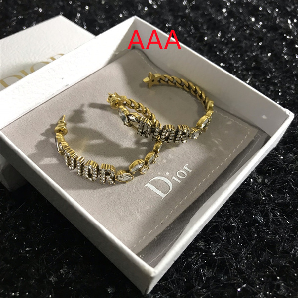 Dior Earrings-038