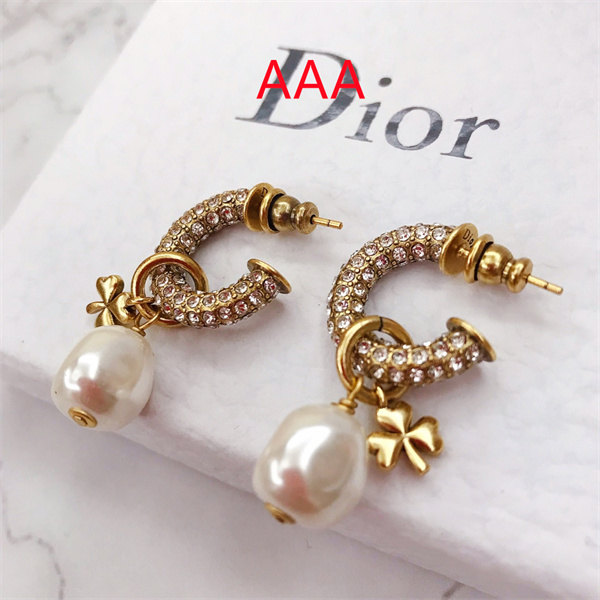 Dior Earrings-043