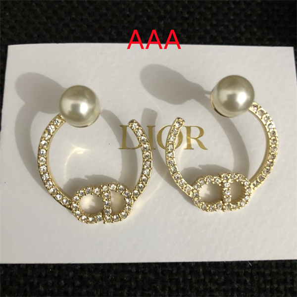 Dior Earrings-048