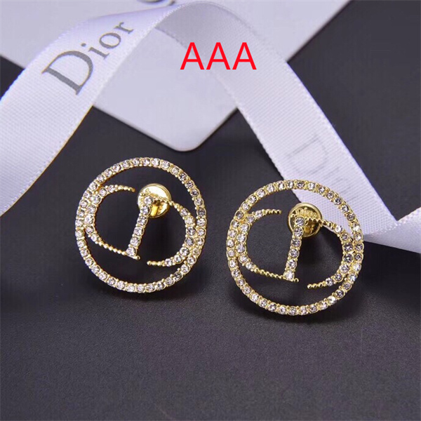 Dior Earrings-052
