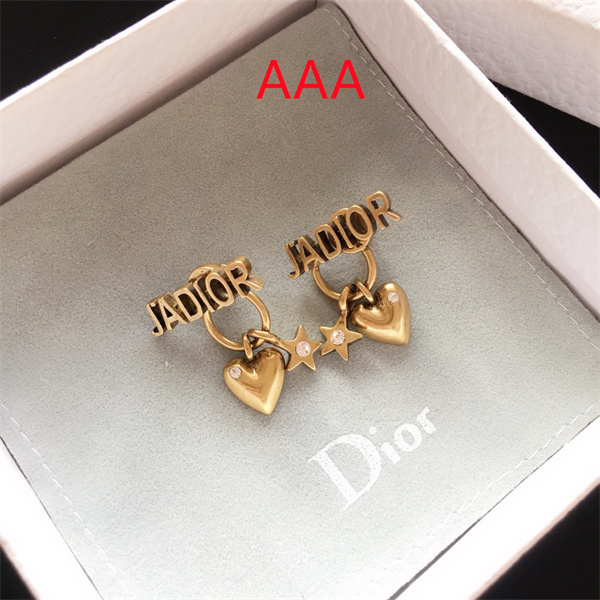 Dior Earrings-063