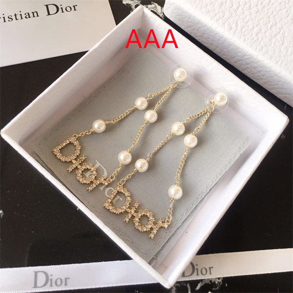 Dior Earrings-064