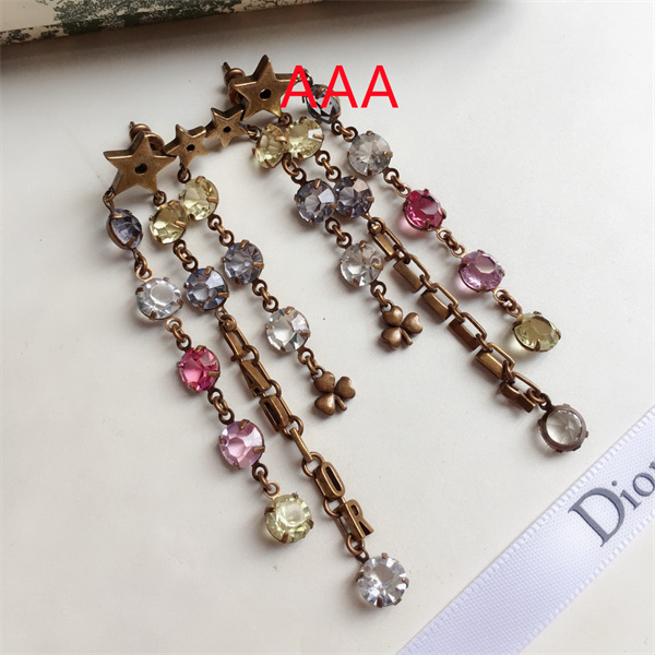 Dior Earrings-072