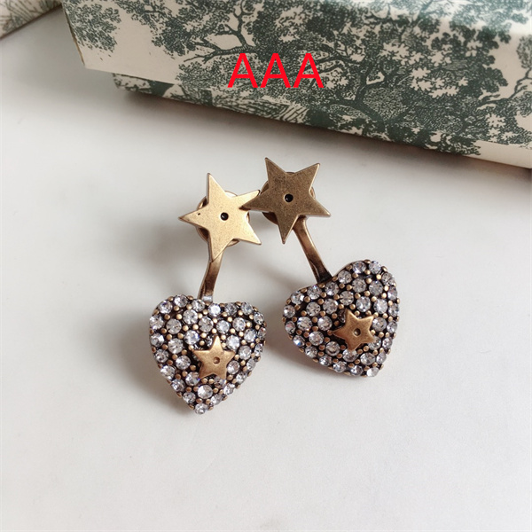 Dior Earrings-073