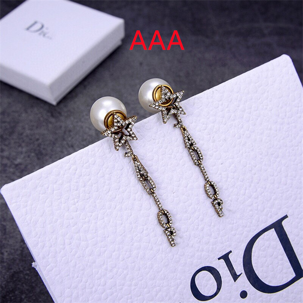 Dior Earrings-075