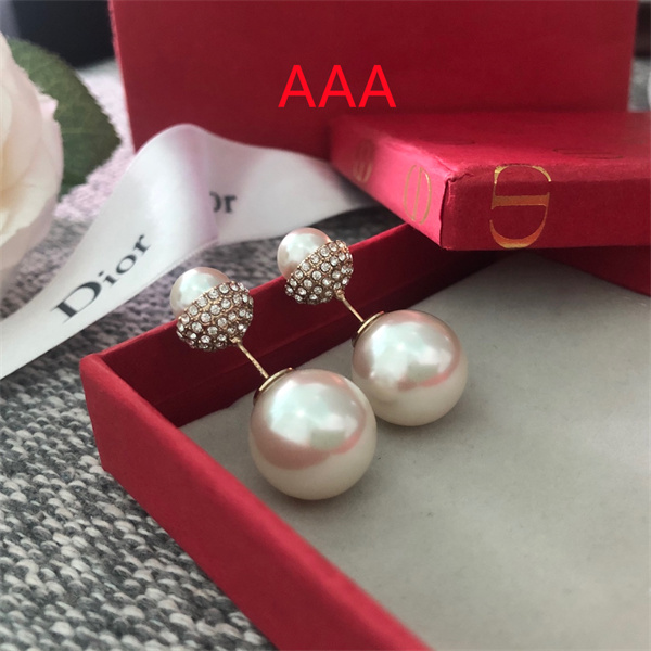 Dior Earrings-008
