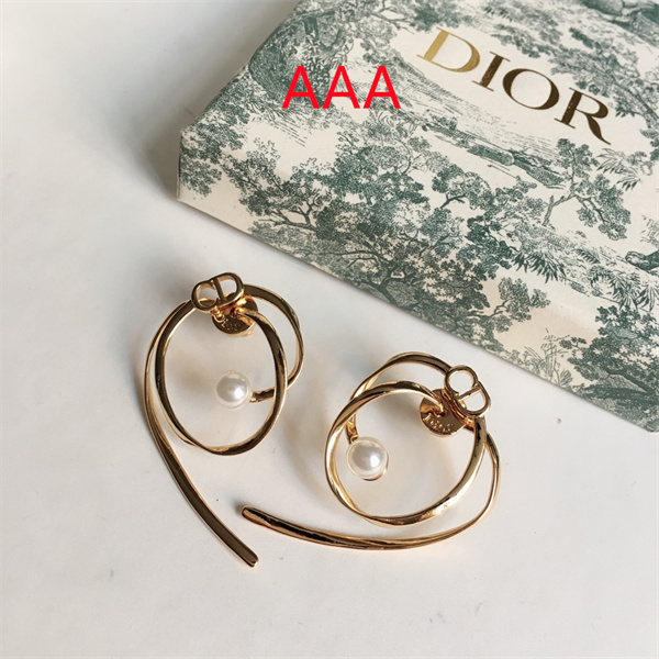 Dior Earrings-087