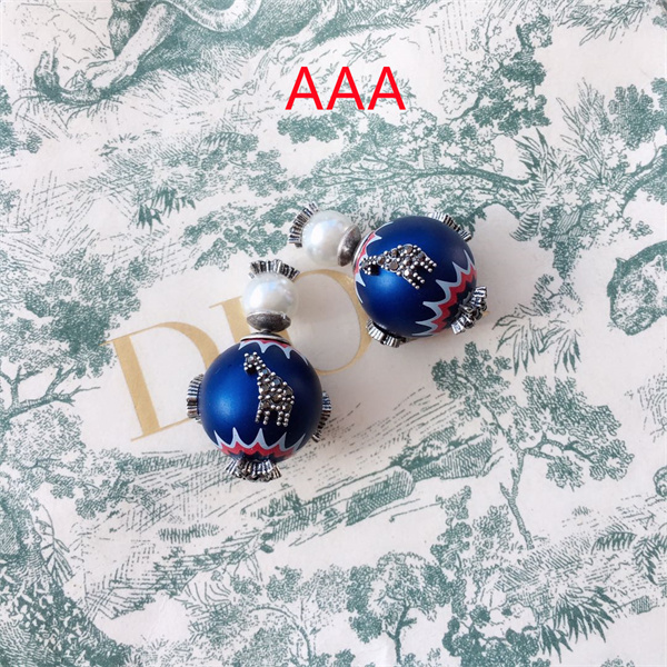 Dior Earrings-089