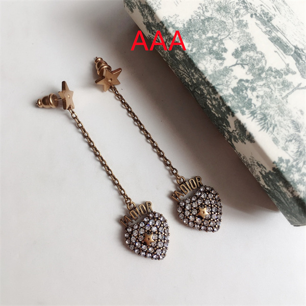 Dior Earrings-092