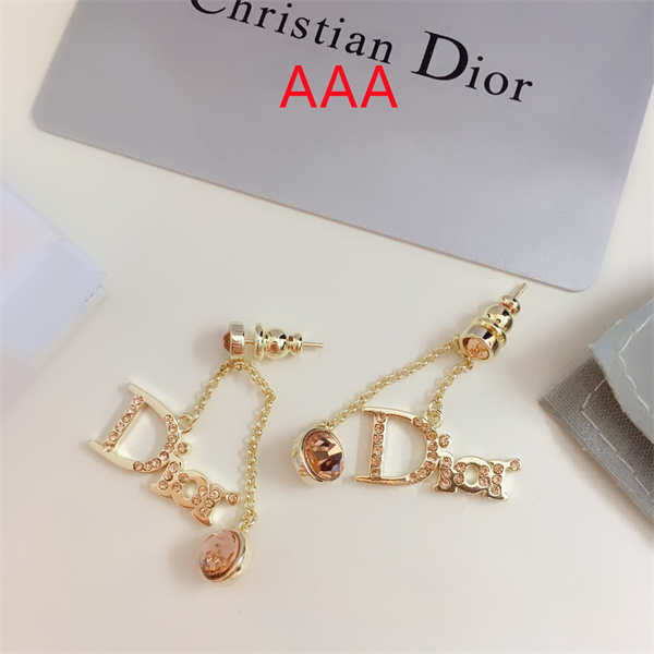 Dior Earrings-093