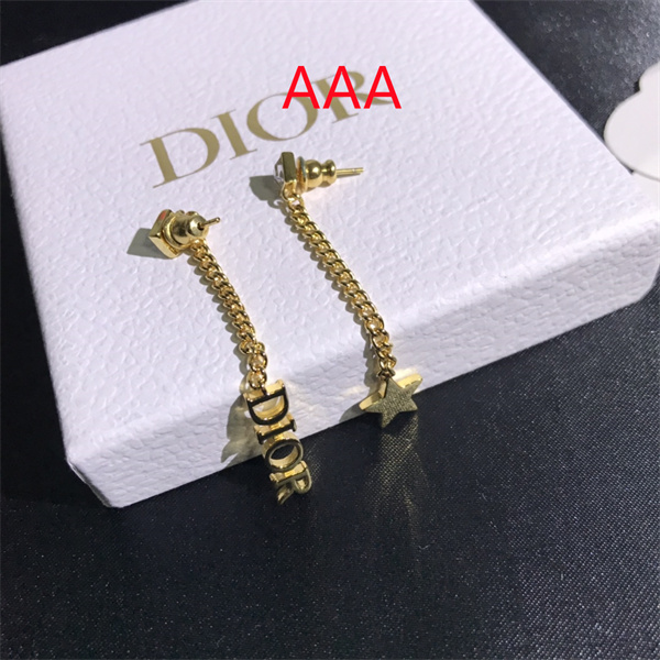 Dior Earrings-097