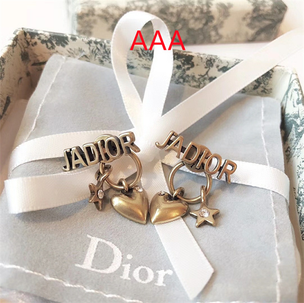 Dior Earrings-098