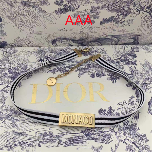 Dior Necklace-058