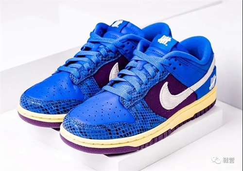 Dunk(low)-W-151