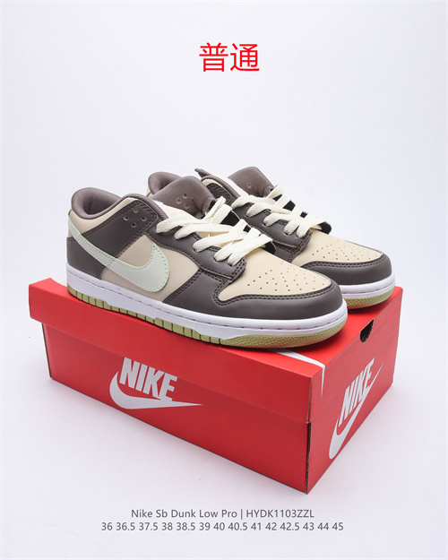 Dunk Shoes-289