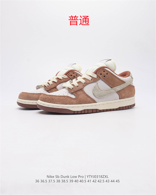 Dunk Shoes-381