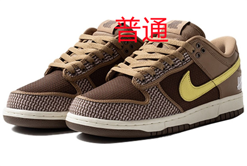 Dunk Shoes-058