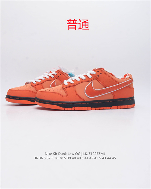 Dunk Shoes-0625