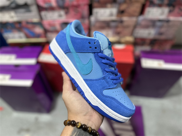 Nike Dunk(46,47,48,)-0137