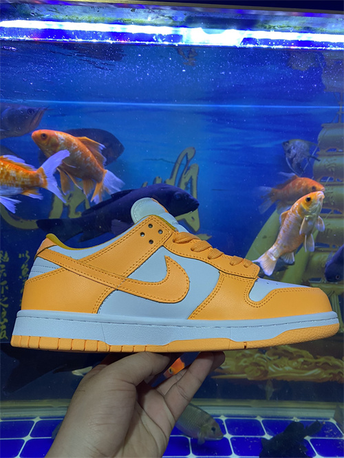 Nike Dunk(46,47,48,)-084