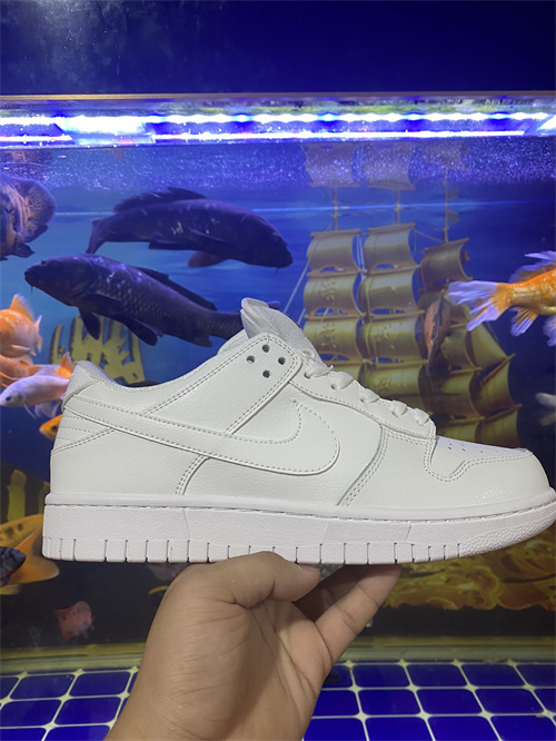 Nike Dunk(46,47,48,)-089