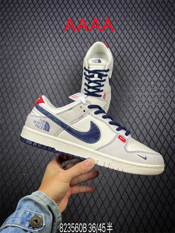 Nike Dunk(AAAA)-1354