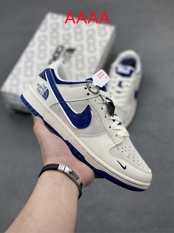 Nike Dunk(AAAA)-1860