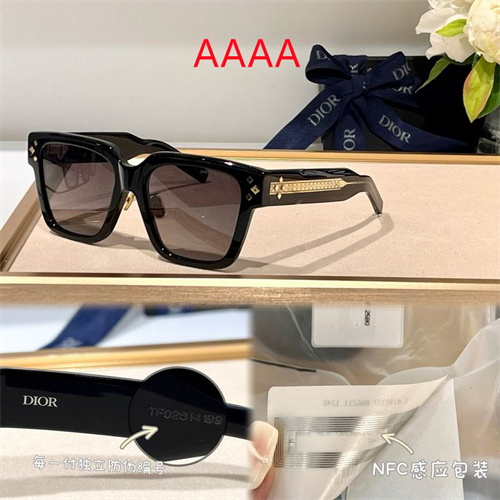 Dior Sunglass(AAAA)-0170