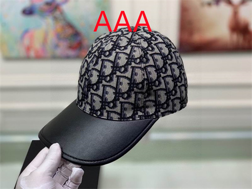 Dior-Cap(AAA)-020