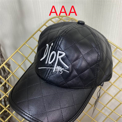 Dior-Cap(AAA)-119