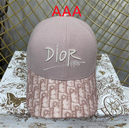 Dior-Cap(AAA)-133
