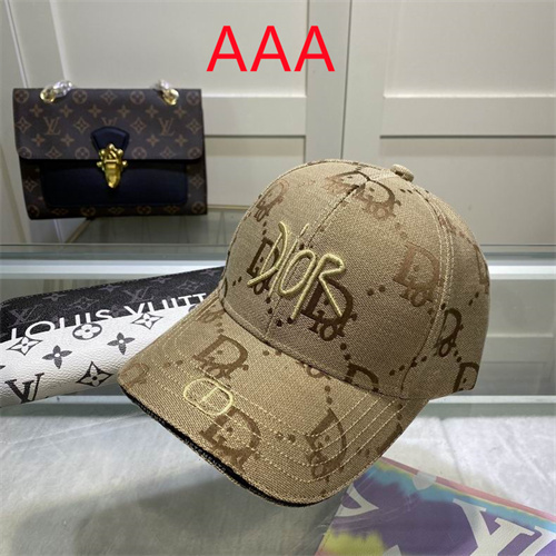 Dior-Cap(AAA)-036