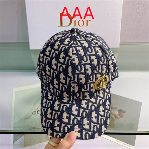 Dior-Cap(AAA)-095