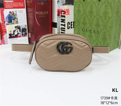 Gucci small bag-0182