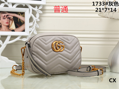 Gucci small bag-0024