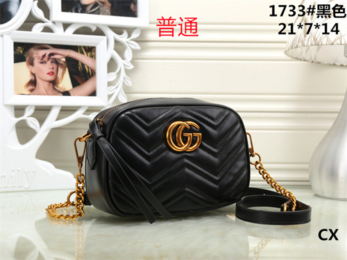 Gucci small bag-0025