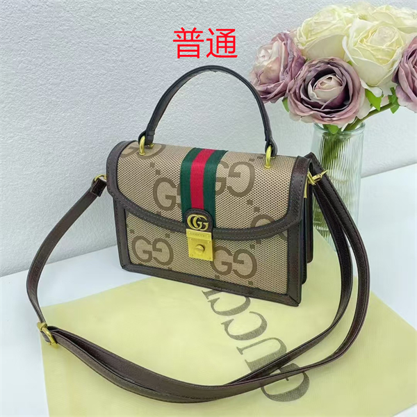 Gucci small bag-0384
