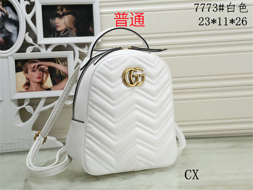Gucci small bag-0043