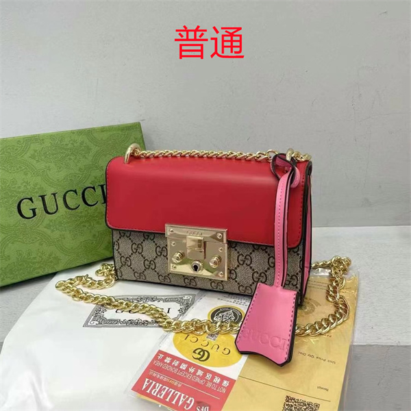 Gucci small bag-0588