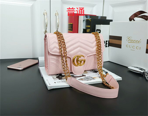 Gucci small bag-0009