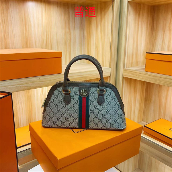 Gucci bag-0137